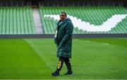 10 November 2017; Head coach Allister Coetzee during South Africa rugby captain's run at Aviva Stadium in Dublin. Photo by Brendan Moran/Sportsfile