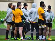 10 November 2017; Assistant coach Johann van Graan, right, during the South Africa rugby captain's run at Aviva Stadium in Dublin. Photo by Brendan Moran/Sportsfile