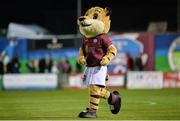 27 October 2017; Galway United mascot Terry the Tiger before the SSE Airtricity League Premier Division match between Galway United and Dundalk at Eamonn Deasy Park, in Galway. Photo by Piaras Ó Mídheach/Sportsfile