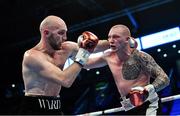 18 November 2017; Steven Ward, left, in action against Przemyslaw Binienda during their light heavyweight bout at the SSE Arena in Belfast. Photo by Ramsey Cardy/Sportsfile