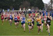 26 November 2017; A general view during the Boys U18 and Junior Men 6000m at the Irish Life Health Juvenile Even Age Cross Country Championships 2017 at the National Sports Campus in Abbotstown, Dublin. Photo by David Fitzgerald/Sportsfile