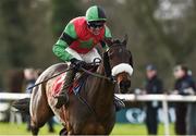 25 January 2018; Wings Like Arion, with Robbie Power up, on their way to winning the Ladbrokes Handicap Hurdle at the Gowran Park Races in Gowran Park, Co Kilkenny. Photo by Matt Browne/Sportsfile