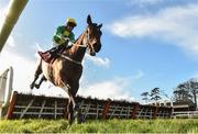 25 January 2018; Scarpeta, with Paul Townend up, clears the last on their way to winning the Langton House Hotel Maiden Hurdle at the Gowran Park Races in Gowran Park, Co Kilkenny. Photo by Matt Browne/Sportsfile