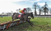 25 January 2018; Peace N' Milan, with Cian Maher up, jump the last on their way to winning the Adare Manor Opportunity Handicap Hurdle at the Gowran Park Races in Gowran Park, Co Kilkenny. Photo by Matt Browne/Sportsfile