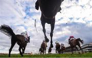 4 February 2018; Runners and riders clear the last on their first time round during the Flogas Novice Steeplechase during Day 2 of the Dublin Racing Festival at Leopardstown Racecourse in Leopardstown, Dublin. Photo by David Fitzgerald/Sportsfile