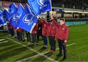 17 February 2018; Young players from Tullow RFC, Carlow, as flagbearers prior to the Guinness PRO14 Round 15 match between Leinster and Scarlets at the RDS Arena in Dublin. Photo by Brendan Moran/Sportsfile