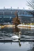 4 March 2018; A general view of a swan floating past the snow covered banks of the Royal Canal with Croke Park Stadium in the background at Ballybough, in Dublin. Photo by Seb Daly/Sportsfile