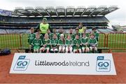4 April 2018; The Kilmore, Co Wexford, team during Day 2 of the The Go Games Provincial days in partnership with Littlewoods Ireland at Croke Park in Dublin. Photo by Piaras Ó Mídheach/Sportsfile