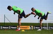 25 May 2018; Shane Long, left, and Jonathan Walters during a Republic of Ireland squad training session at the FAI National Training Centre in Abbotstown, Dublin. Photo by Stephen McCarthy/Sportsfile