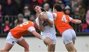 27 January 2019; Eoin Doyle of Kildare in action against Ryan McShane, left, and James Morgan of Armagh during the Allianz Football League Division 2 Round 1 match between Kildare and Armagh at St Conleth's Park in Newbridge, Kildare. Photo by Piaras Ó Mídheach/Sportsfile