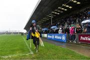 3 March 2019; Groundsman John Nolan takes up the flags following the postponement of the Allianz Hurling League Division 1A Round 5 match between Wexford and Kilkenny at Innovate Wexford Park in Wexford. Photo by Matt Browne/Sportsfile