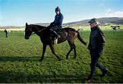 11 March 2019; Willie Mullins walks alongside horse Benie Des Dieux with jockey Ruby Walsh on the gallops ahead of the Cheltenham Racing Festival at Prestbury Park in Cheltenham, England. Photo by David Fitzgerald/Sportsfile