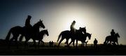 11 March 2019; Gordon Elliott's string of horses on the gallops ahead of the Cheltenham Racing Festival at Prestbury Park in Cheltenham, England. Photo by David Fitzgerald/Sportsfile