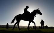 11 March 2019; Apple's Jade with Keith Donoghue are watched on the gallops by Gordon Elliott, right, ahead of the Cheltenham Racing Festival at Prestbury Park in Cheltenham, England. Photo by David Fitzgerald/Sportsfile