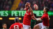 16 March 2019; Adam Beard of Wales jumps for the ball with Jacob Stockdale of Ireland during the Guinness Six Nations Rugby Championship match between Wales and Ireland at the Principality Stadium in Cardiff, Wales. Photo by Brendan Moran/Sportsfile