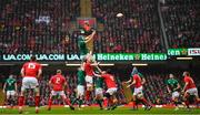 16 March 2019; Tadhg Beirne of Ireland wins possession in the lineout during the Guinness Six Nations Rugby Championship match between Wales and Ireland at the Principality Stadium in Cardiff, Wales. Photo by Brendan Moran/Sportsfile
