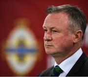 21 March 2019; Northern Ireland manager Michael O'Neill prior to the UEFA EURO2020 Qualifier - Group C match between Northern Ireland and Estonia at National Football Stadium in Windsor Park, Belfast.  Photo by David Fitzgerald/Sportsfile