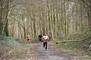 23 March 2019; Action from the parkrun Ireland in partnership with Vhi at Knockanacree Woods in Cloughjordan, Co. Tipperary. Parkrun Ireland in partnership with Vhi, added a new parkrun at Knockanacree Woods on Saturday, 23rd March, with the introduction of the Knockanacree Woods parkrun in Cloughjordan, Co. Tipperary. parkruns take place over a 5km course weekly, are free to enter and are open to all ages and abilities, providing a fun and safe environment to enjoy exercise. To register for a parkrun near you visit www.parkrun.ie. Photo by Matt Browne/Sportsfile