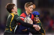 30 March 2019; Action from the Bank of Ireland Half-Time Minis featuring Old Wesley RFC and Boyne RFC at the Heineken Champions Cup Quarter-Final between Leinster and Ulster at the Aviva Stadium in Dublin. Photo by Ramsey Cardy/Sportsfile