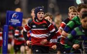 30 March 2019; Action from the Bank of Ireland Half-Time Minis featuring Seapoint RFC and Wicklow RFC at the Heineken Champions Cup Quarter-Final between Leinster and Ulster at the Aviva Stadium in Dublin. Photo by David Fitzgerald/Sportsfile