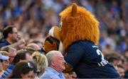 21 April 2019; Leinster mascot Leo the Lion with supporters at the Heineken Champions Cup Semi-Final match between Leinster and Toulouse at the Aviva Stadium in Dublin. Photo by Sam Barnes/Sportsfile