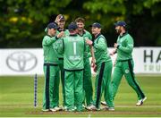19 May 2019; Ireland players congratulate Paul Stirling after a catch during the One-Day International between Ireland and Afghanistan at Stormont in Belfast. Photo by Oliver McVeigh/Sportsfile