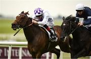 28 June 2019; Twilight Payment, left, with Kevin Manning up, crosses the finish-line ahead of second place finisher, Latrobe, with Donnacha O'Brien up, to win the Comer Group International Curragh Cup race during day two of the Irish Derby Festival at The Curragh Racecourse in Kildare. Photo by Barry Cregg/Sportsfile