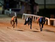 21 September 2019; Lenson Bocko, left, races next to Mucky Brae and Run Happy, on its way to winning race ten, The 2019 BoyleSports Irish Greyhound Derby Final during the 2019 Boylesports Irish Greyhound Derby at Shelbourne Park in Dublin. Photo by Harry Murphy/Sportsfile