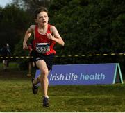 8 February 2020; Seamus O'Donoghue from Kenmare AC, Co Kerry, on his way to winning the Boys Under-13 Cross Country race during the Irish Life Health National Intermediate, Master, Juvenile B & Relays Cross Country at Avondale in Rathdrum, Co Wicklow. Photo by Matt Browne/Sportsfile