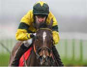 19 February 2020; Trixie Mc, with James Reilly up, during the Ten Weeks To Punchestown Festival Mares Maiden Hurdle at Punchestown Racecourse in Kildare. Photo by Harry Murphy/Sportsfile