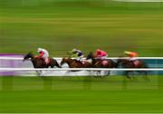 19 February 2020; A general view of runners and riders during the Final Festival Ticket Deal Ends Soon Maiden Hurdle at Punchestown Racecourse in Kildare. Photo by Harry Murphy/Sportsfile