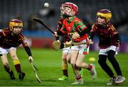 22 February 2020; Action from the cumman Na mbunscoil games at half time of the Allianz Hurling League Division 1 Group B Round 4 match between Dublin and Wexford at Croke Park in Dublin. Photo by Sam Barnes/Sportsfile