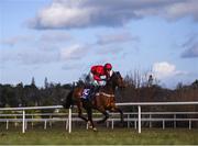 2 March 2020; Atalanta's Gold, with Barry Browne up, during the Kids Go Racing Handicap Hurdle at Leopardstown Racecourse in Dublin. Photo by Harry Murphy/Sportsfile