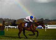 2 March 2020; Turbojet, with Adam Short up on their way to winning the Leopardstown May Family Day Beginners Steeplechase at Leopardstown Racecourse in Dublin. Photo by Harry Murphy/Sportsfile