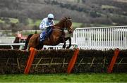 10 March 2020; Honeysuckle, with Rachael Blackmore on, jumps the last on their way to winning the Close Brothers Mares´ Hurdle on Day One of the Cheltenham Racing Festival at Prestbury Park in Cheltenham, England. Photo by David Fitzgerald/Sportsfile