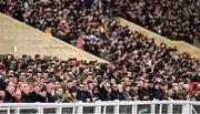 12 March 2020; Punters look on during the Paddy Power Stayers' Hurdle on Day Three of the Cheltenham Racing Festival at Prestbury Park in Cheltenham, England. Photo by Harry Murphy/Sportsfile