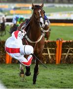 13 March 2020; Jockey Jamie Moore falls from Goshen after jumping the last during the JCB Triumph Hurdle on Day Four of the Cheltenham Racing Festival at Prestbury Park in Cheltenham, England. Photo by Harry Murphy/Sportsfile