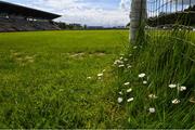 10 May 2020; A general view of daisies growing in the goals at Avantcard Páirc Seán MacDiarmada on the afternoon of the Connacht GAA Football Senior Championship Quarter-Final match between Leitrim and Mayo at Avantcard Páirc Seán MacDiarmada in Carrick-on-Shannon, Leitrim. This weekend, May 9 and 10, was due to be the first weekend of games in Ireland of the GAA All-Ireland Senior Championship, beginning with provincial matches, which have been postponed following directives from the Irish Government and the Department of Health in an effort to contain the spread of the Coronavirus (COVID-19). The GAA have stated that no inter-county games will take place before October 2020. Photo by Piaras Ó Mídheach/Sportsfile