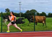 25 July 2020; Cows look on from a nearby field as Margaret Mary Grace of Nenagh Olympic AC, Tipperary, competes in the Senior Ladies 400m event during the Summer Games Athletics Meet at Moyne AC in Tipperary. Photo by Piaras Ó Mídheach/Sportsfile