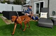 12 October 2020; #HurlingToTheCore ambassador Brendan Maher, pictured with his pointer dog Oscar, at his home in Tipperary to launch Bord Gáis Energy’s sponsorship of the 2020 GAA All-Ireland Senior Hurling Championship. As part a new exciting upcoming series, Bord Gáis Energy are calling on hurling fans to upload their home match day videos throughout the Championship using #HurlingToTheCore, to be in with a chance of winning unmissable rewards. Photo by Brendan Moran/Sportsfile