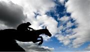 13 October 2020; Quilixios, with Denis O'Regan up, clear the last on their way to winning the Ladbrokes 3 year old hurdle at Punchestown Racecourse in Kildare. Photo by David Fitzgerald/Sportsfile