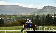 23 October 2020; Crassus, with Sean Flanagan up, clear the last, first time round, on their way to finishing second in the CountySligoRaces.com Maiden Hurdle at Sligo Racecourse in Sligo. Photo by David Fitzgerald/Sportsfile