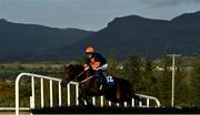 23 October 2020; Wat Ua Doin, with Eddie O'Connell up, clear the last during the Irish Stallion Farms IBF Mares Maiden hurdle at Sligo Racecourse in Sligo. Photo by David Fitzgerald/Sportsfile