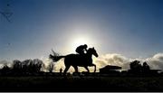 11 March 2021; Captain Court, with Conor Orr up, during the Holycross Maiden hurdle at Thurles Racecourse in Tipperary. Photo by David Fitzgerald/Sportsfile