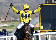 17 March 2021; Jockey Nick Scholfield celebrates after winning the The Johnny Henderson Grand Annual Handicap Steeple Chase Challenge Cup on Sky Pirate on day 2 of the Cheltenham Racing Festival at Prestbury Park in Cheltenham, England. Photo by Hugh Routledge/Sportsfile