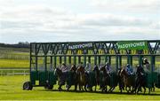 21 March 2021; Runners and riders leave the stalls for the start of the Irish Stallion Farms EBF Maiden at The Curragh Racecourse in Kildare. Photo by Seb Daly/Sportsfile