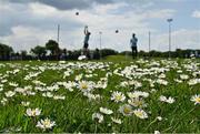 30 May 2021; A general view of daisies growing on a training pitch as Laois goalkeepers Matthew Byron, left, and Niall Corbet warm-up before the Allianz Football League Division 2 South Round 3 match between Laois and Kildare at MW Hire O'Moore Park in Portlaoise, Laois. Photo by Piaras Ó Mídheach/Sportsfile