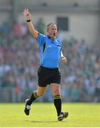 14 July 2013; Referee James McGrath. Munster GAA Hurling Senior Championship Final, Limerick v Cork, Gaelic Grounds, Limerick. Picture credit: Diarmuid Greene / SPORTSFILE
