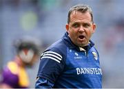 3 July 2021; Wexford manager Davy Fitzgerald before the Leinster GAA Hurling Senior Championship Semi-Final match between Kilkenny and Wexford at Croke Park in Dublin. Photo by Piaras Ó Mídheach/Sportsfile