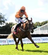 28 July 2021; Annie G, with Darragh O'Keeffe up, clear the last on their way to winning the Tote+ Placeport Pays More Novice Hurdle during day three of the Galway Races Summer Festival at Ballybrit Racecourse in Galway. Photo by David Fitzgerald/Sportsfile